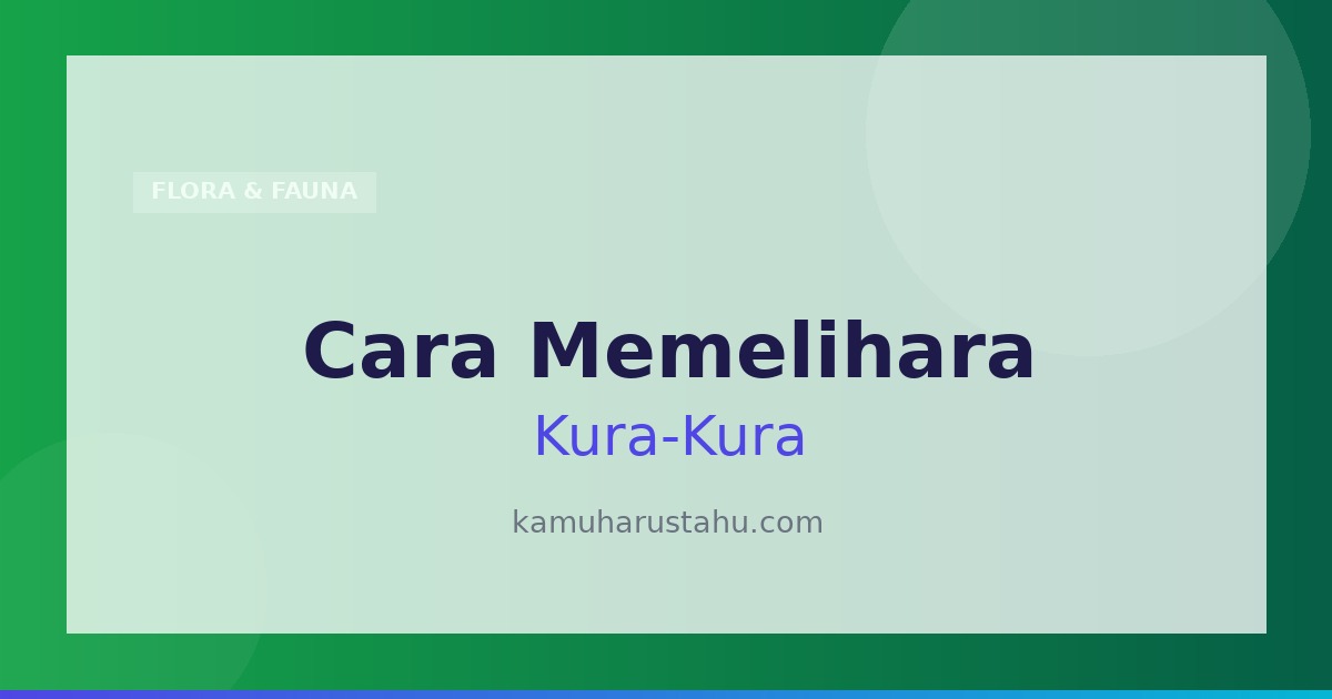 Cara Memelihara Kura Kura Serta Cara Merawatnya